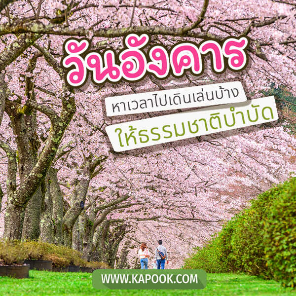 วันอังคาร หาเวลาไปเดินเล่นบ้าง ให้ธรรมชาติบำบัด