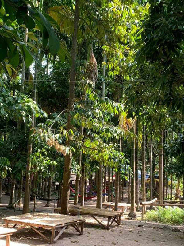 ศูนย์เรียนรู้เฌอซี๊ญ่า ตลาดไกวเปล