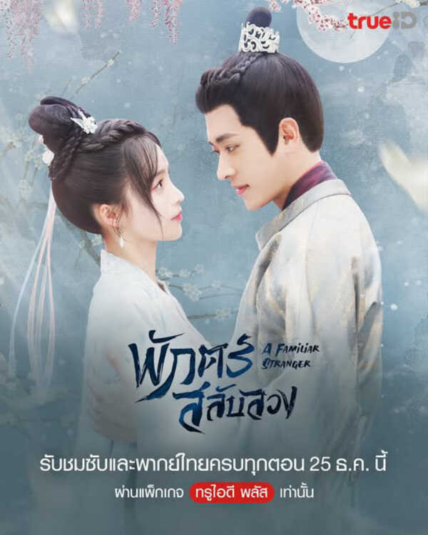 มินิซีรีส์จีนสนุกๆ พักตร์สลับลวง มินิซีรีส์จีนย้อนยุค