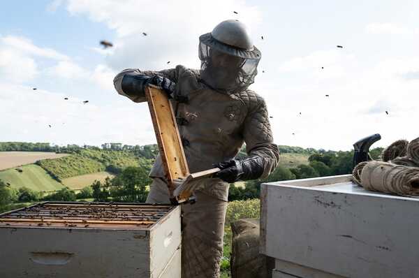 The Beekeeper