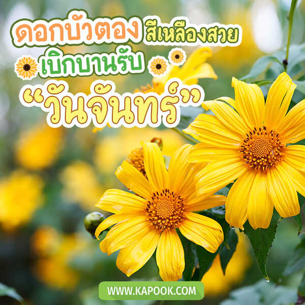 สวัสดีวันจันทร์
