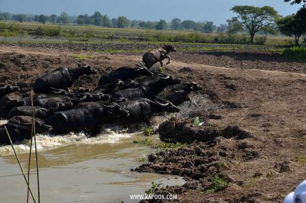 เที่ยวเชียงราย