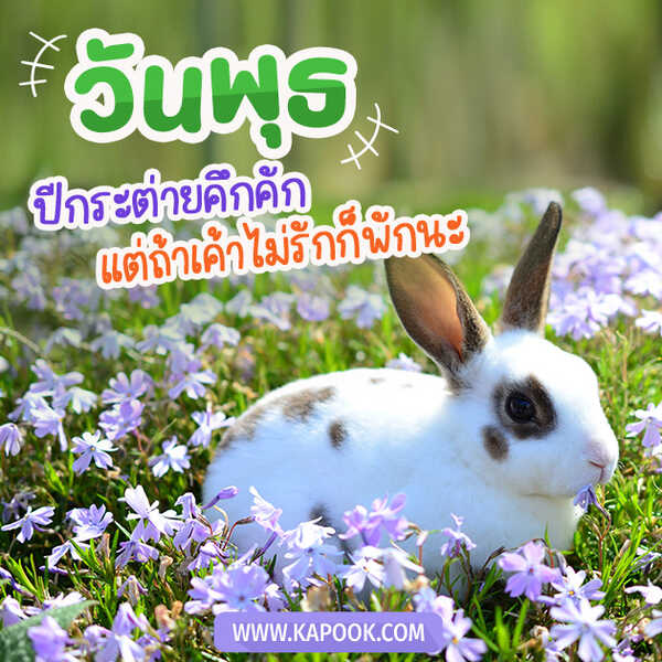 สวัสดีวันพุธ