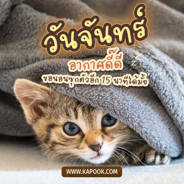 วันจันทร์ อากาศดี๊ดี ขอนอนซุกตัวอีก 15 นาทีได้มั๊ย