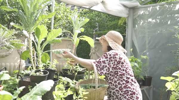 คุณยายหนิง แม่ชมพู่ 