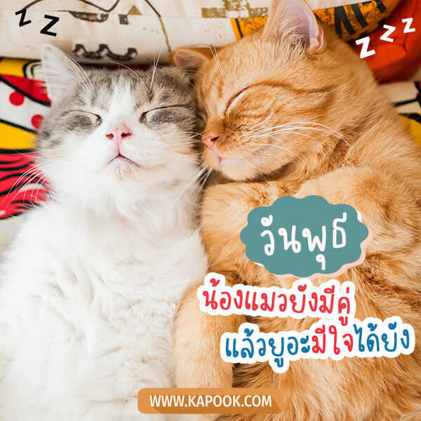 สวัสดีวันพุธ