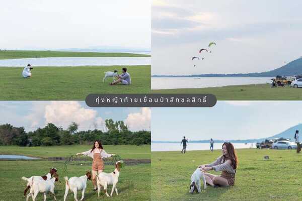 ขับรถเที่ยว