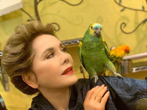 มาดามเดวี