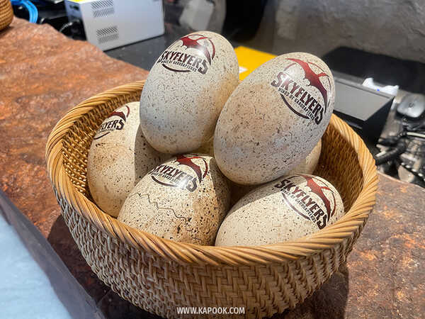 Skyflyers: Wings of Garudapterus