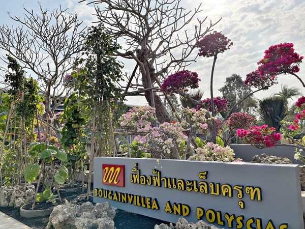 สวนนงนุชพัท