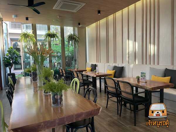 Wella Da Cafe