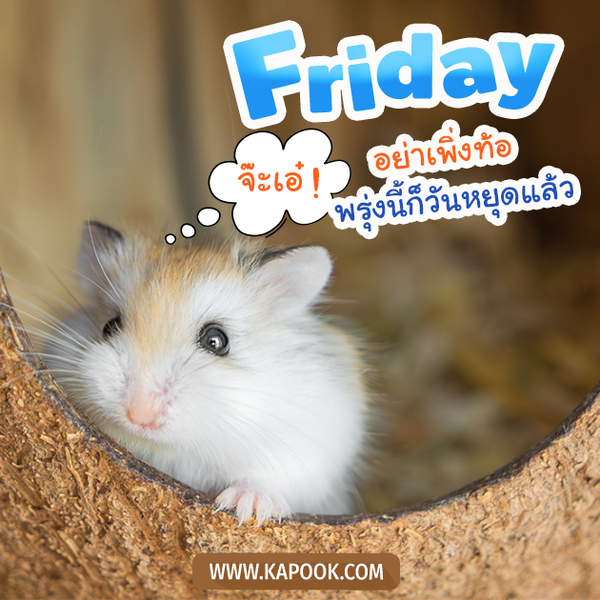 สวัสดีวันศุกร์