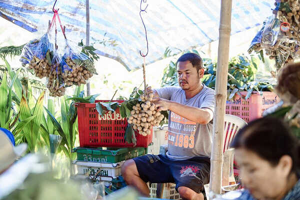 สวนเมเปิ้ล จ.กาญจนบุรี