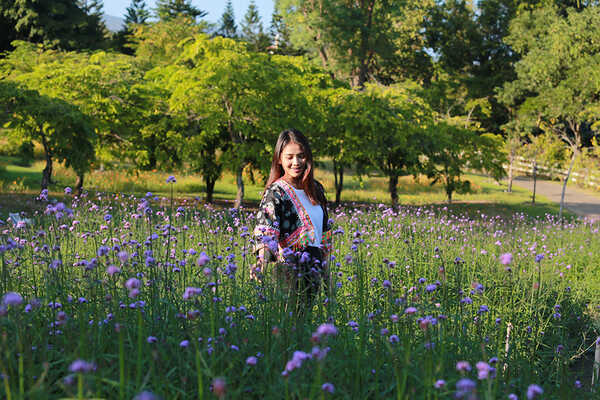 เทศกาลชมสวน 2563 อุทยานหลวงราชพฤกษ์