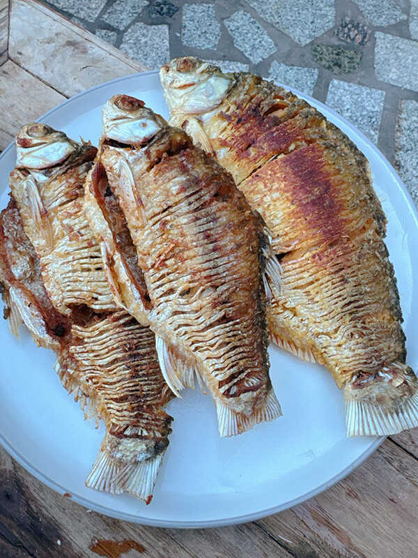 ปลาตะเพียนทอดราดเต้าเจี้ยว สูตรอาหารเมนูปลา เมนูทอด เต้าเจี้ยว อาหารไทย