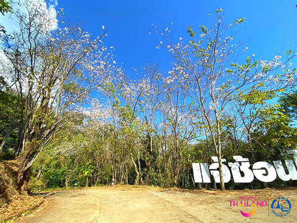 เที่ยวเดือนมีนาคม 66