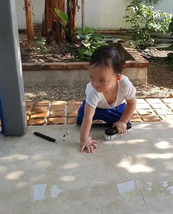 น้องสายฟ้า น้องพายุ