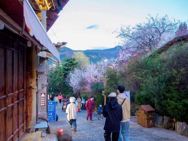 Shangri-La Yunbian View Homestay