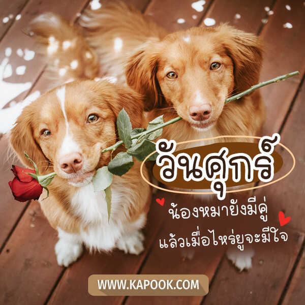 สวัสดีวันศุกร์
