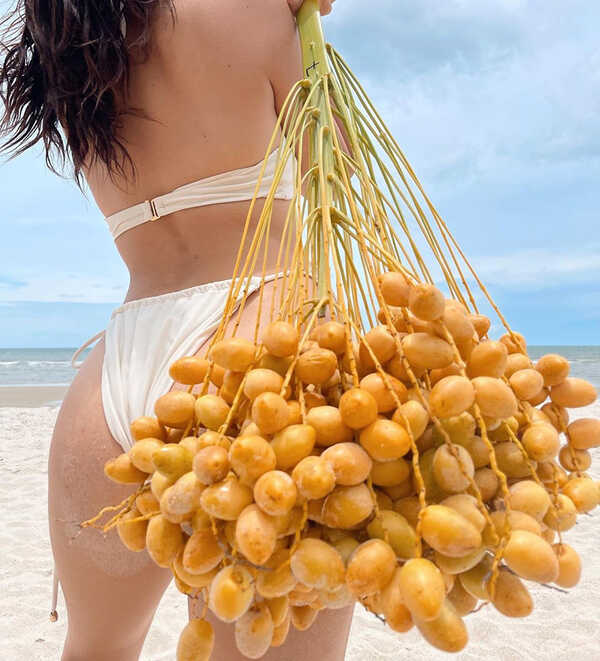 คารีสา สปริงเก็ตต์ 