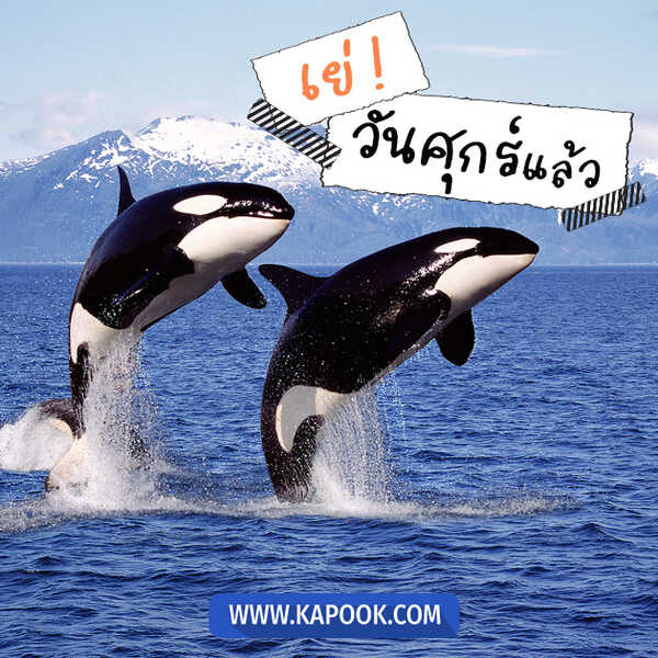 เย่ ! วันศุกร์แล้ว