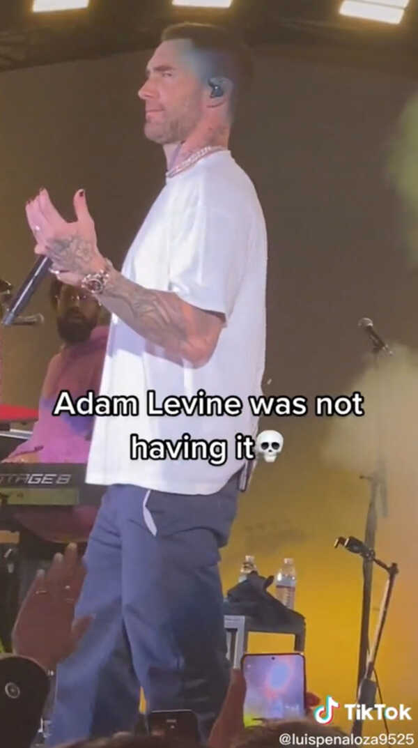 อดัม เลอวีน 