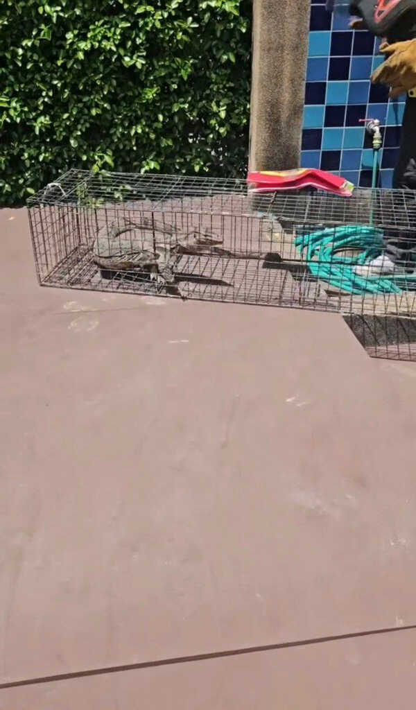 เจเพชรจ้า เผยโฉม 1 ในตัวการ ทำต้องรื้อบ้าน