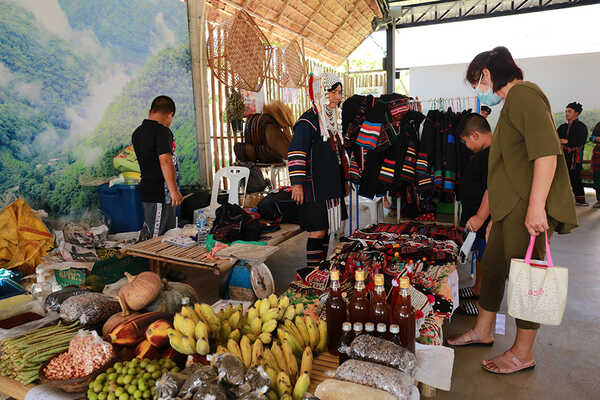 เทศกาลชมสวน 2563 อุทยานหลวงราชพฤกษ์