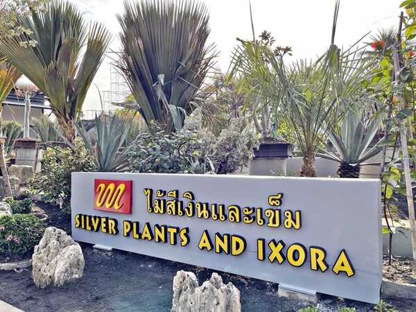 สวนนงนุชพัท