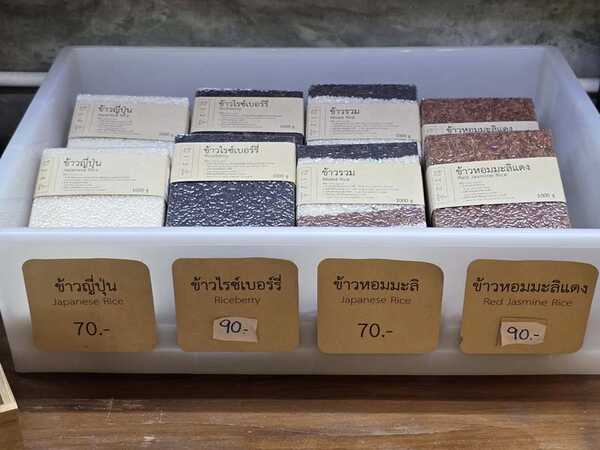 ข้าวจาปอนิกา (Japonica)