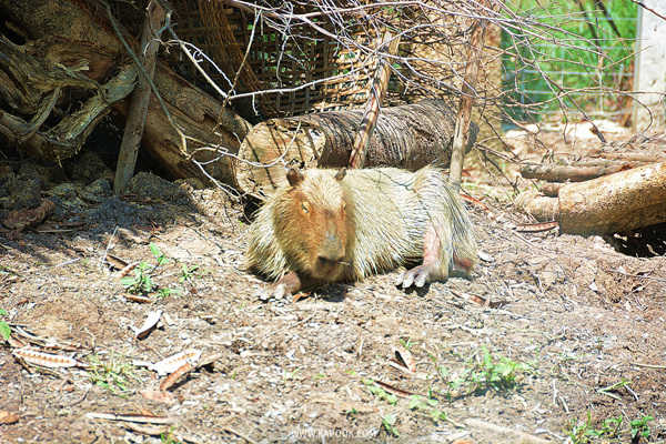 เที่ยวปทุมธานี