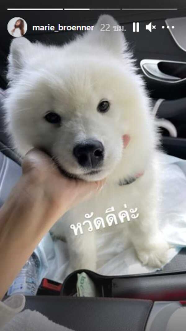 มารี พิชญ์