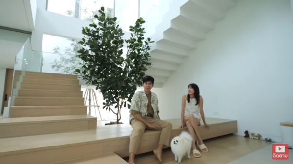 แดน แพทตี้