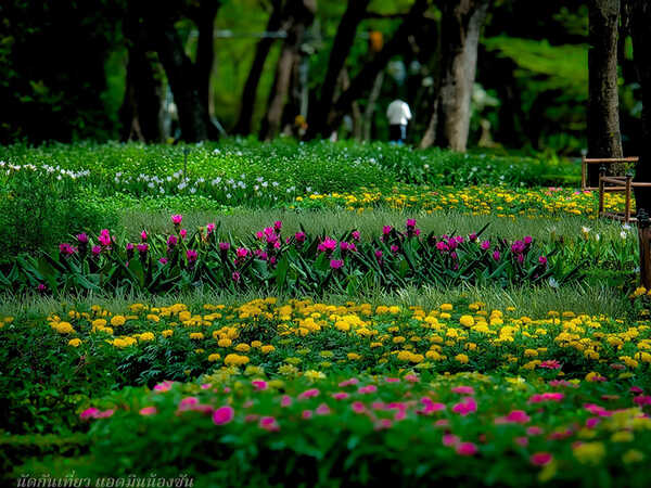 งานสีสรรพรรณไม้ เทิดไท้บรมราชินีนาถ ครั้งที่ 18 