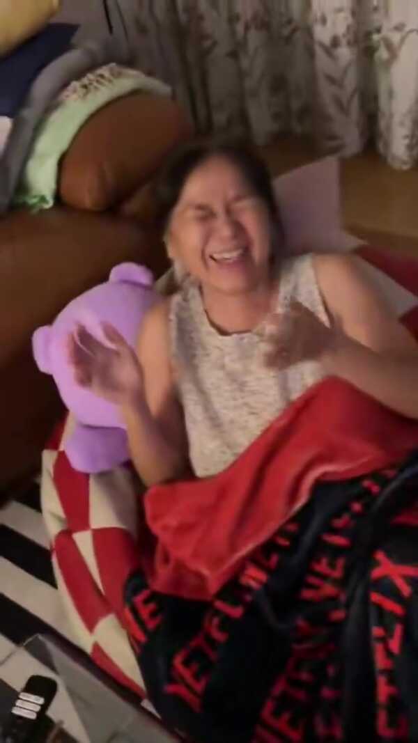 วี วิโอเลต