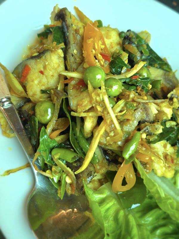 บ้านไร่สะบายดี