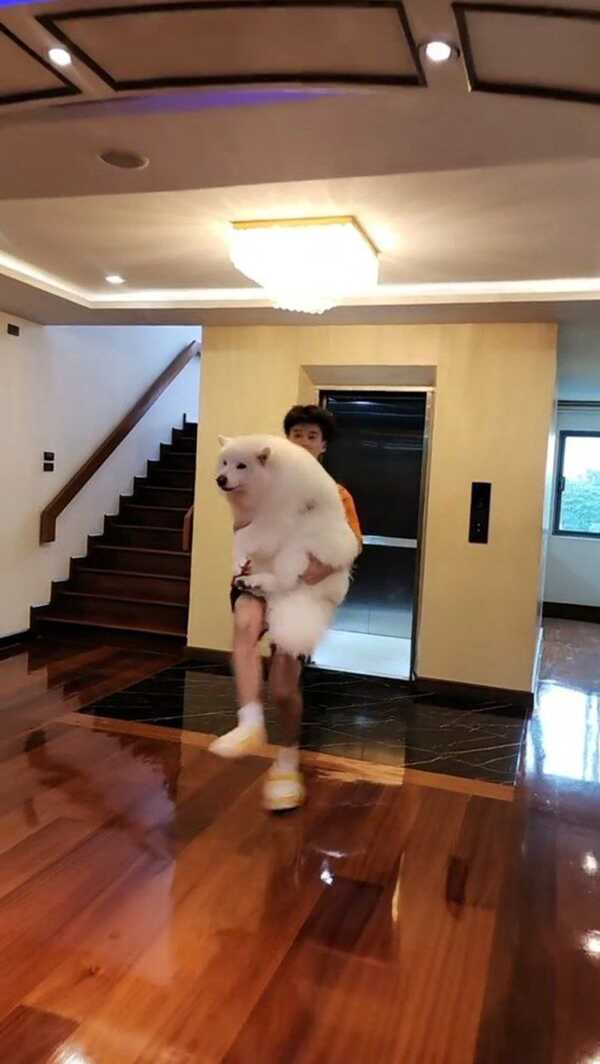 คนอึ้ง ! บ้านบิ๊ก อชิรพล แฟน จ๊ะ นงผณี มีลิฟต์ แต่คอมเมนต์นี้พาอึ้งกว่า ?