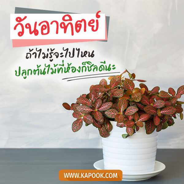 รูปสวัสดีวันอาทิตย์