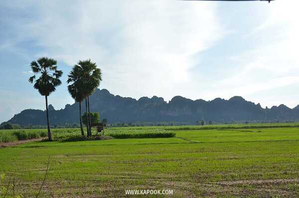 เที่ยวพิษณุโลก 