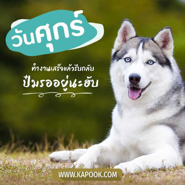 สวัสดีวันศุกร์