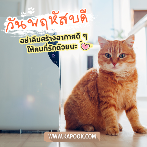 สวัสดีวันพฤหัสบดี