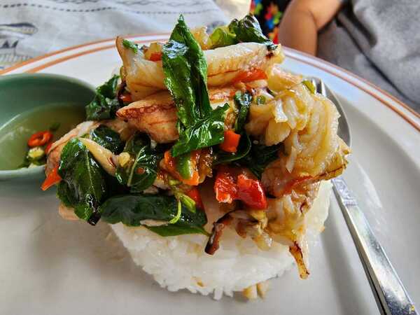 แก้วกะเพราปู