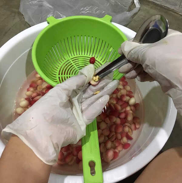 มะม่วงหาวมะนาวโห่แช่อิ่ม เมนูแช่อิ่ม ผลไม้แช่อิ่ม สูตรขนม