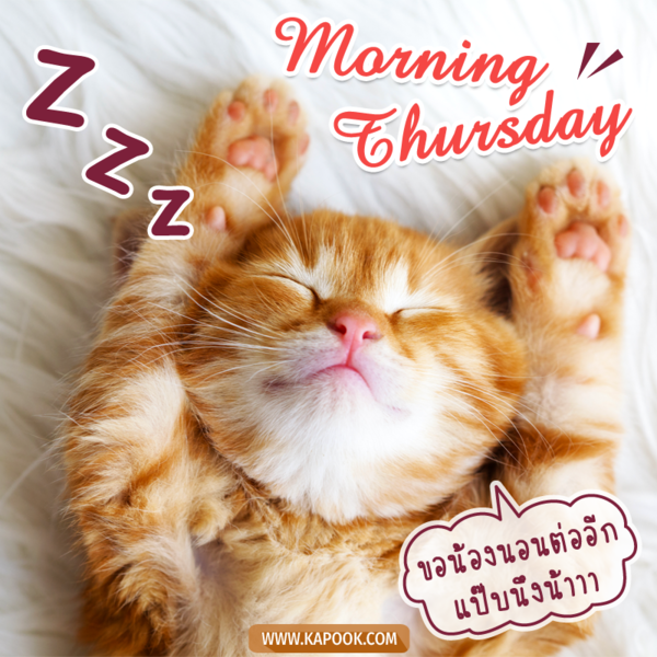 สวัสดีวันพฤหัสฯ ขอน้องนอนต่ออีก แป๊บนึงน้าาา