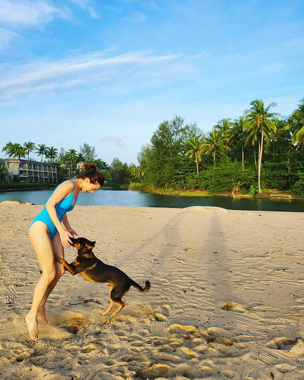 คริส หอวัง 