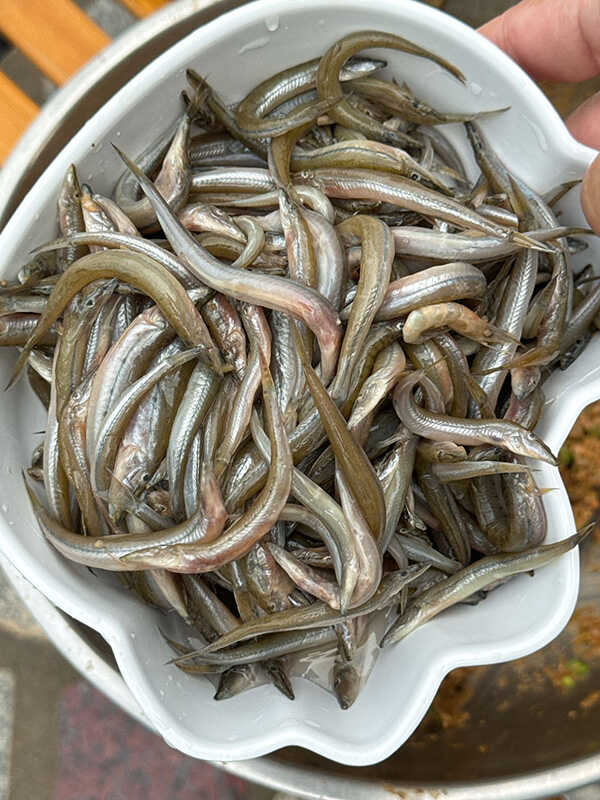 ปลาเห็ด ทอดมันปลา Thai fish cake เมนูอาหารไทย สูตรอาหารไทย