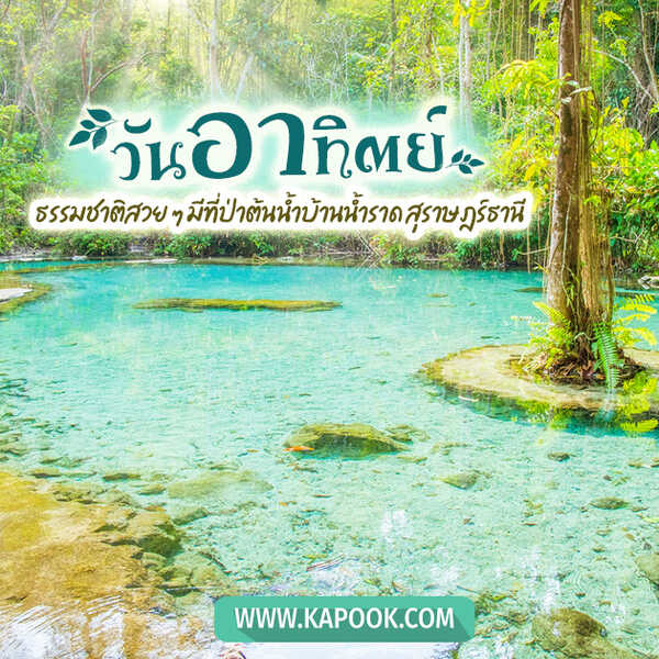 สวัสดีวันอาทิตย์ ธรรมชาติสวย ๆ มีที่ป่าต้นน้ำบ้านน้ำราด สุราษฎร์ธานี