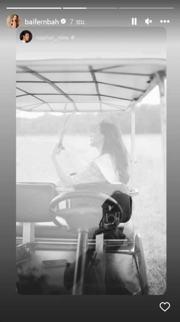 ใบเฟิร์น พิมพ์ชนก 