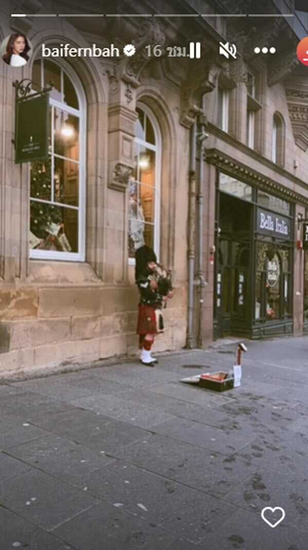 ใบเฟิร์น พิมพ์ชนก