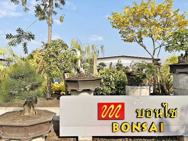 สวนนงนุชพัท